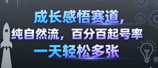 成长感悟赛道，纯自然流，百分百起号率 一天轻松多张-藏宝阁