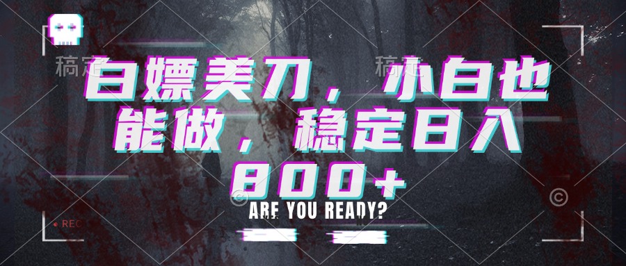白嫖美刀，小白也能做，稳定日入800+-藏宝阁