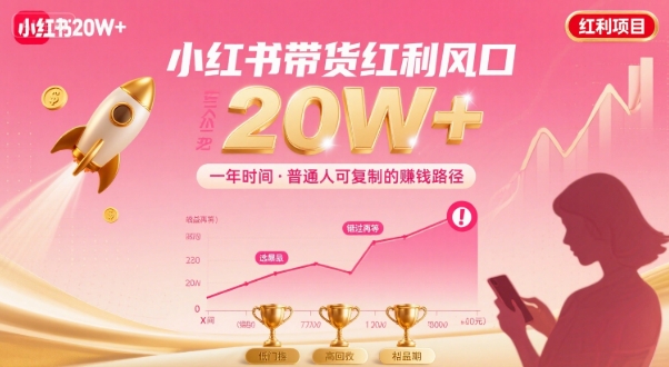 一年时间靠小红书带货项目年入20w+，最不能错的大红利项目-藏宝阁