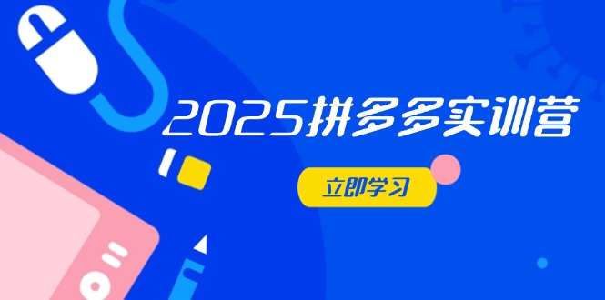 2025拼多多实训营：深度剖析运营关键，助力电商人快速提升-藏宝阁