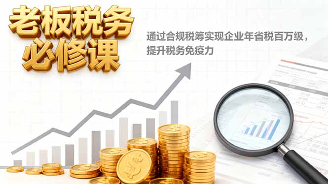 老板税务必修课，通过合规税筹实现企业年省税百万级，提升税务免疫力-藏宝阁