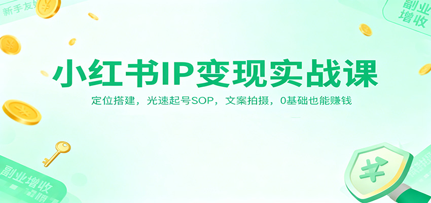 小红书IP变现实战课：定位搭建，光速起号SOP，文案拍摄，0基础也能赚钱-藏宝阁