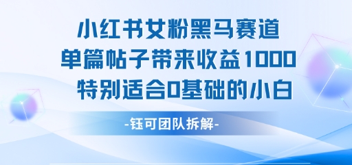 小红书女粉黑马赛道单篇帖子带来收益1k+，特别适合0基础的小白-藏宝阁