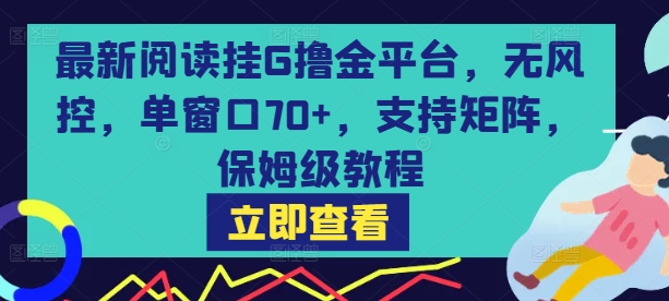 最新阅读挂G撸金平台，无风控，单窗口70+，支持矩阵，保姆级教程【揭秘】-藏宝阁