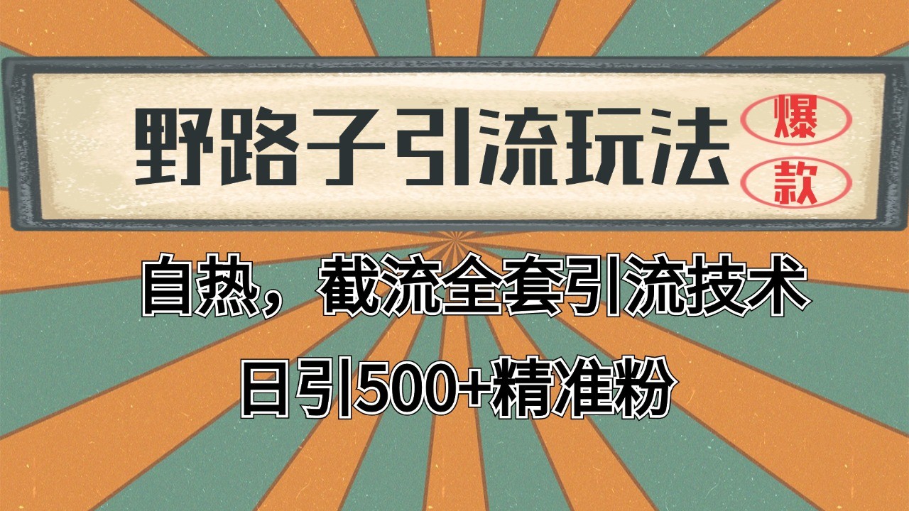 2024首发野路子引流玩法截流自热全平台打法，全自动引流【日引2000+精准客户】-藏宝阁