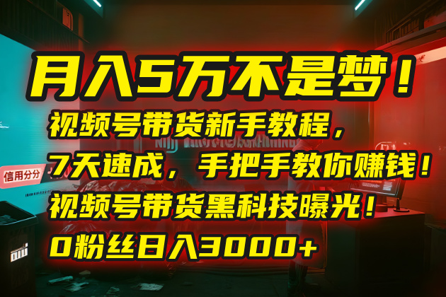 月入5万不是梦！视频号带货新手教程，7天速成，手把手教你赚钱！视频号…-藏宝阁