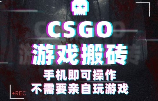CSGO游戏挂G捡漏，单日扫货5张+，年底小高峰上车可吃肉，手机即可操作，兼职副业创业网创【揭秘】-藏宝阁
