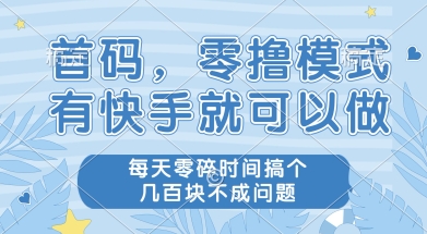 首码零撸项目，有快手就可以做，每天业务时间搞个几张不是问题【揭秘】-藏宝阁