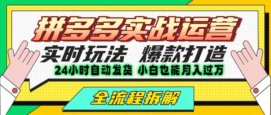 拼多多最新实战运营高投产：长久稳定项目，单店利润一天三位数-藏宝阁