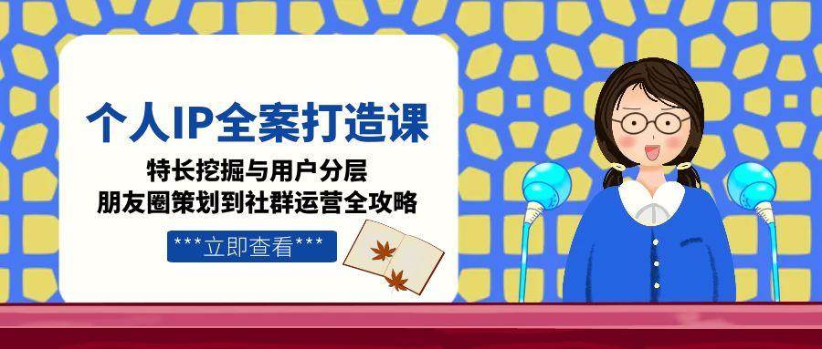 个人IP全案打造课，特长挖掘与用户分层，朋友圈策划到社群运营全攻略-藏宝阁