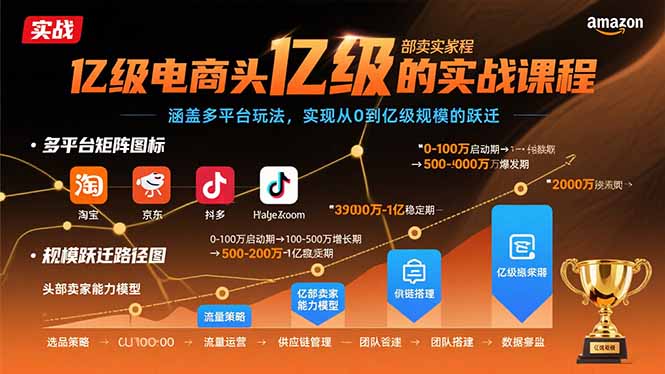 亿级电商头部卖家的实战课程：涵盖多平台玩法，实现从0到亿级规模的跃迁-藏宝阁