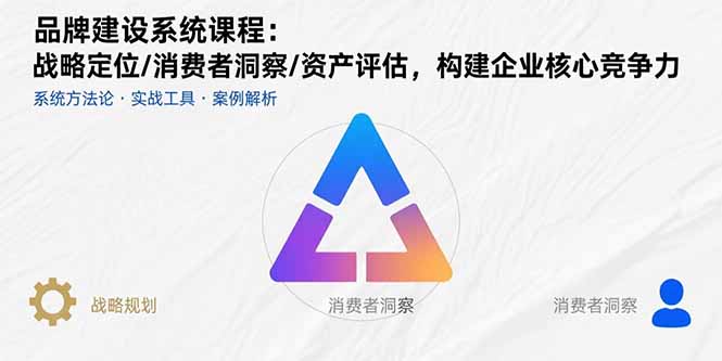 品牌建设系统课程：战略定位/消费者洞察/资产评估，构建企业核心竞争力-藏宝阁