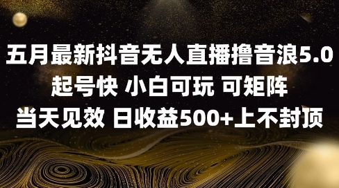 2025五月最新无人直播撸音浪单日产出5张+实操教程【揭秘】-藏宝阁