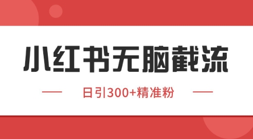 小红书截流同行客源，独家野路子获客玩法 日引200+暴力获客【揭秘】-藏宝阁