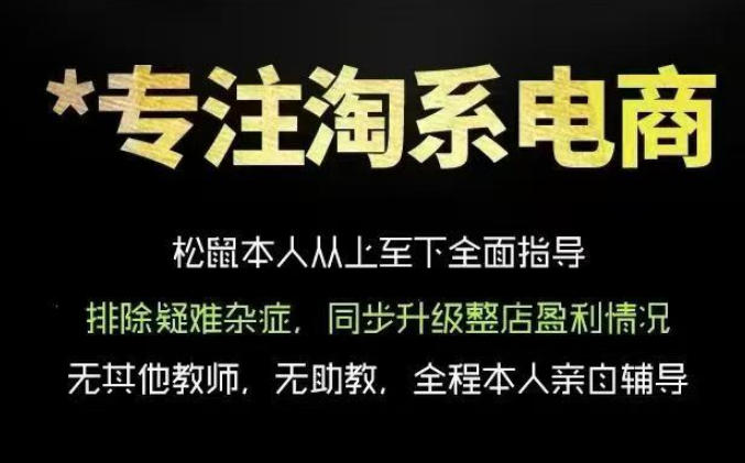 松鼠会电商VIP课程，从基础布局到高阶优化，助你掌握淘宝运营逻辑，提升店铺流量与转化(更新0901)-藏宝阁