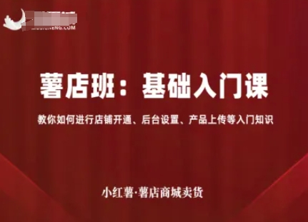 小红薯薯店商城卖货，基础入门课，教你如何进行店铺开通、后台设置、产品上传等入门知识-藏宝阁