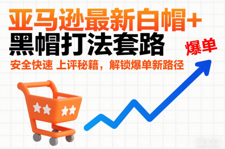 亚马逊最新白帽+黑帽打法套路，安全快速上评秘籍，解锁爆单新路径-藏宝阁