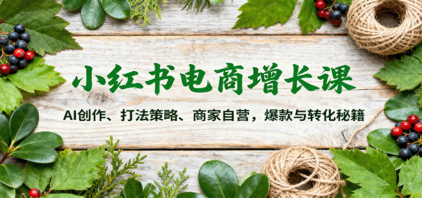 小红书电商增长课：AI创作、打法策略、商家自营，爆款与转化秘籍-藏宝阁