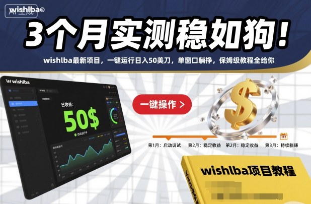 3个月实测稳如狗！wishlba最新项目，一键运行日入50美刀，单窗口躺挣，保姆级教程全给你【揭秘】-藏宝阁