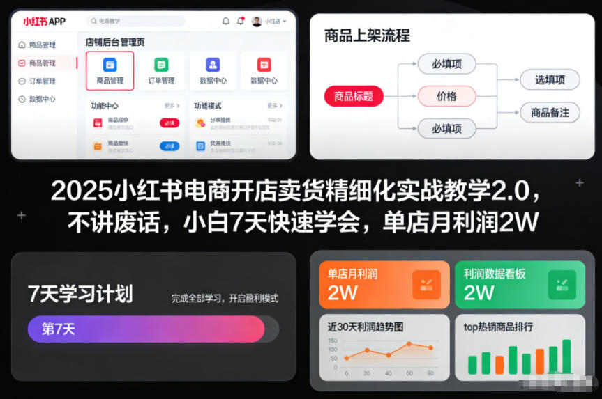 2025小红书电商开店卖货精细化实战教学2.0，不讲废话，小白7天快速学会，单店月利润2W-藏宝阁