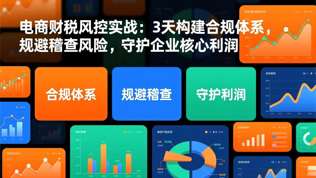 电商财税风控实战：3天构建合规体系，规避稽查风险，守护企业核心利润-藏宝阁