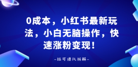 0成本，小红书最新玩法，小白无脑操作，快速涨粉变现-藏宝阁
