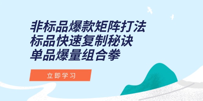 非标品爆款矩阵打法，标品快速复制秘诀，单品爆量组合拳-藏宝阁