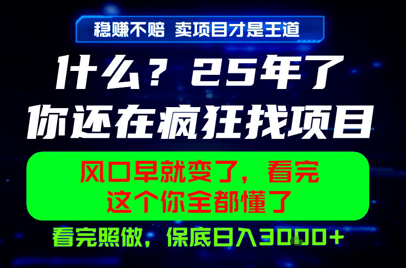 26年，请不要疯狂的找项目做了！卖项目才是真的稳賺不赔，看完照做，保底日入1k+【揭秘】-藏宝阁