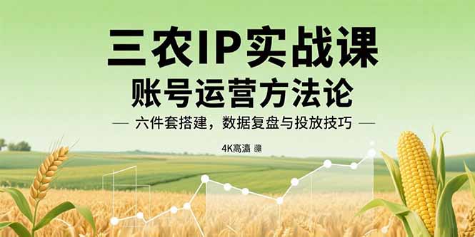 三农IP实战课：账号运营方法论，六件套搭建，数据复盘与投放技巧-藏宝阁