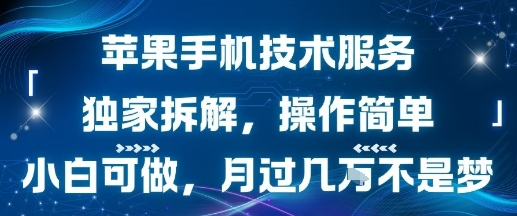 苹果手机技术服务，独家拆解，操作简单，小白可做，月过1W不是梦-藏宝阁