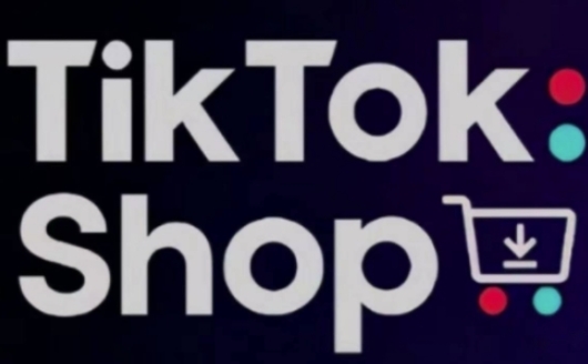 TikTokShop跨境电商0-1实战，手把手教你低成本启动海外市场(更新)-藏宝阁