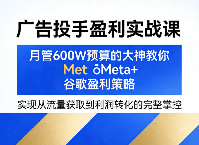 广告投手盈利实战课，月管600W预算的大神教你Meta+谷歌盈利策略，实现从流量获取到利润转化的完整掌控-藏宝阁