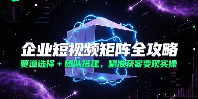 企业短视频矩阵全攻略，赛道选择+团队搭建，精准获客变现实操-藏宝阁
