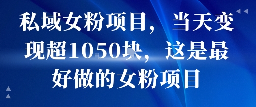 私域女粉项目，当天变现超1k，这是最好做的女粉项目，可放大操作-藏宝阁
