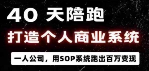 40天陪跑打造个人商业系统，一人公司，用SOP系统跑出百W变现-藏宝阁