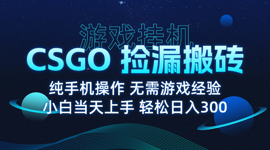 8月最新游戏搬砖，CSGO纯挂机，不需要玩游戏，实现真挂机，月入1W+-藏宝阁