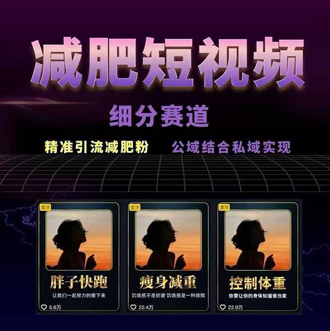 图片[2]-减肥短视频运营实战课：含素材制作、剪映教学，讲精准引流、变现设计与内容模板技巧-藏宝阁