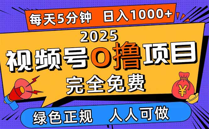 2025视频号0撸项目，5分钟一个号，日入1000+，人人可做-藏宝阁