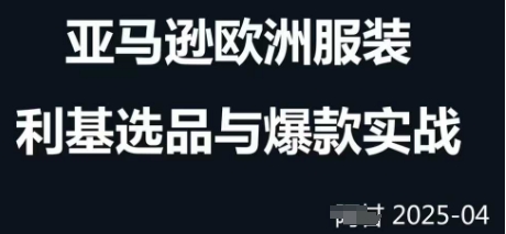 跨境电商选品案例24-25年，聚焦跨境电商选品策略与运营优化，助力卖家挖掘蓝海市场-藏宝阁