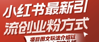 小红书最新引流创业粉方式，项目图文玩法介绍以及如何安全倒流私域-藏宝阁