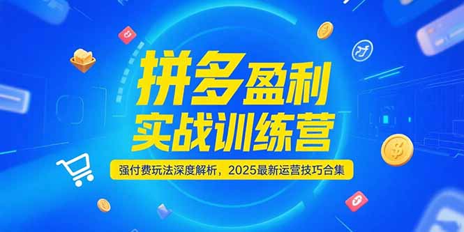 拼多多盈利实战训练营，强付费玩法深度解析，2025运营技巧合集-更新6月-藏宝阁