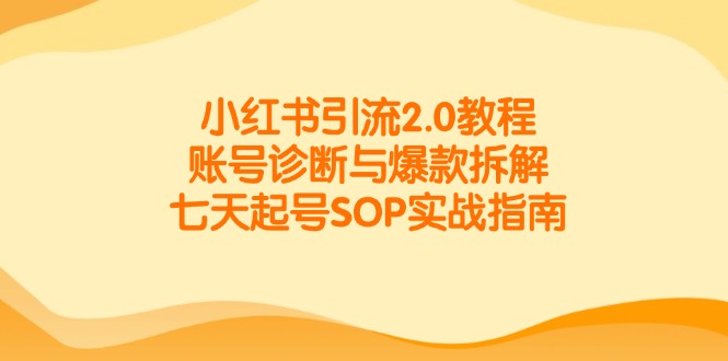 小红书引流2.0教程，账号诊断与爆款拆解，七天起号SOP实战指南-藏宝阁