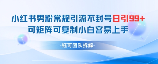 小红书男粉常规引流不封号日引99+变现简单 可矩阵可复制小白容易上手-藏宝阁