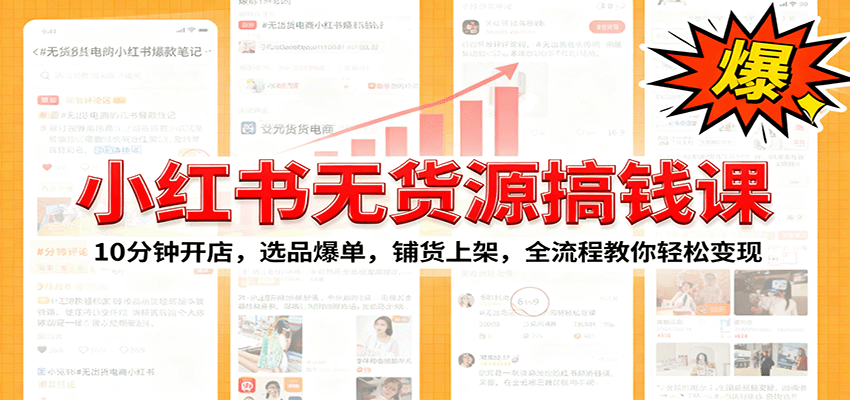小红书无货源爆单课：10分钟开店，选品爆单，铺货上架，全流程教你轻松变现-藏宝阁