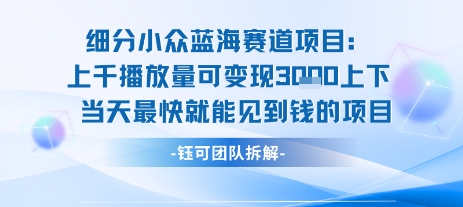 小众蓝海赛道项目：当天变现1k+适合新手操作 +适合长期玩-藏宝阁