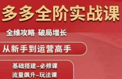 拼多多全阶实战课程，全维攻略，破局增长，从新手到运营高手-藏宝阁