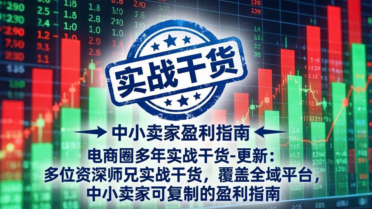 电商圈多年实战干货-更新5月20：多位资深师兄实战干货/覆盖全域平台，中小卖家可复制的盈利指南-藏宝阁