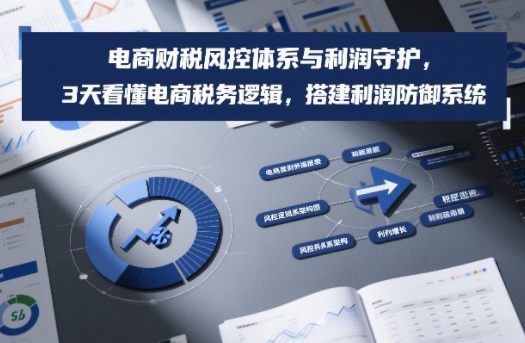 电商财税风控体系与利润守护，3天看懂电商税务逻辑，搭建利润防御系统-藏宝阁