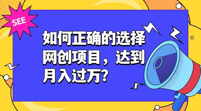 如何正确的选择网创项目，达到月入过万？，本课程教你正确选择项目。-藏宝阁