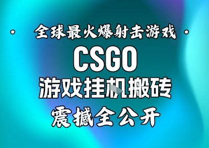 【年底大揭秘】基于全球最火爆的射击CSGO游戏挂G搬砖，日入5张+，震撼公开-藏宝阁